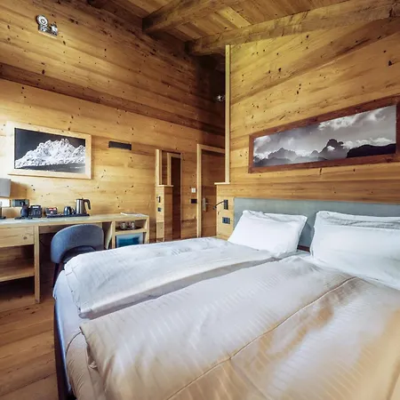 Alpina ***s Otel