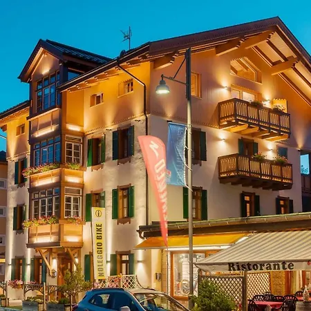 Alpina ***s Otel 3*